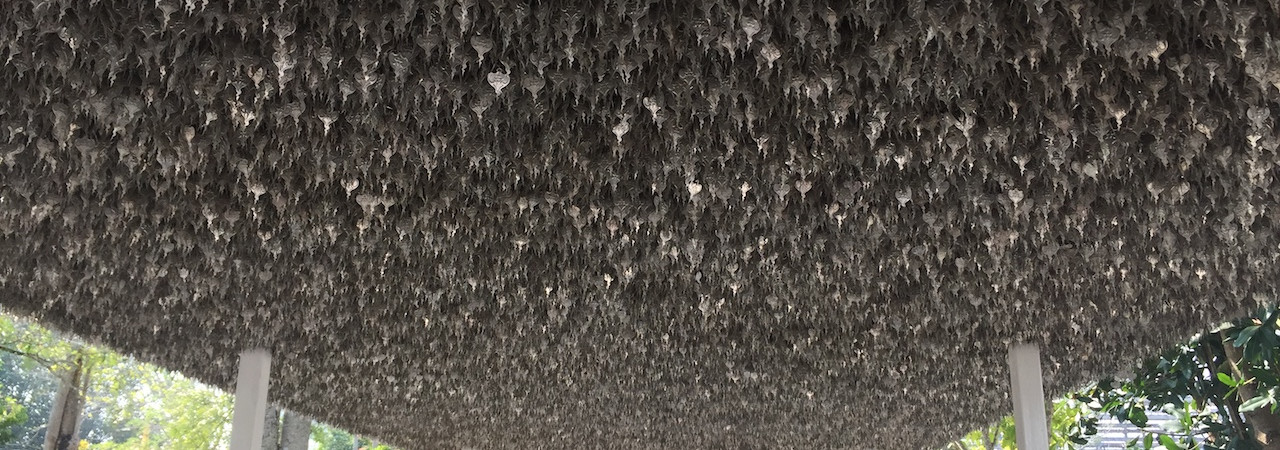 Dolorum facere et temporibus minus et omnis vitae.